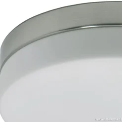 Badkamer plafonnière staal met wit glas