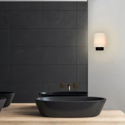 Badkamerwandlamp zwart met opaal glazen kap