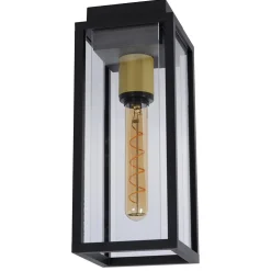 Buitenlamp plafond zwart met goud IP54