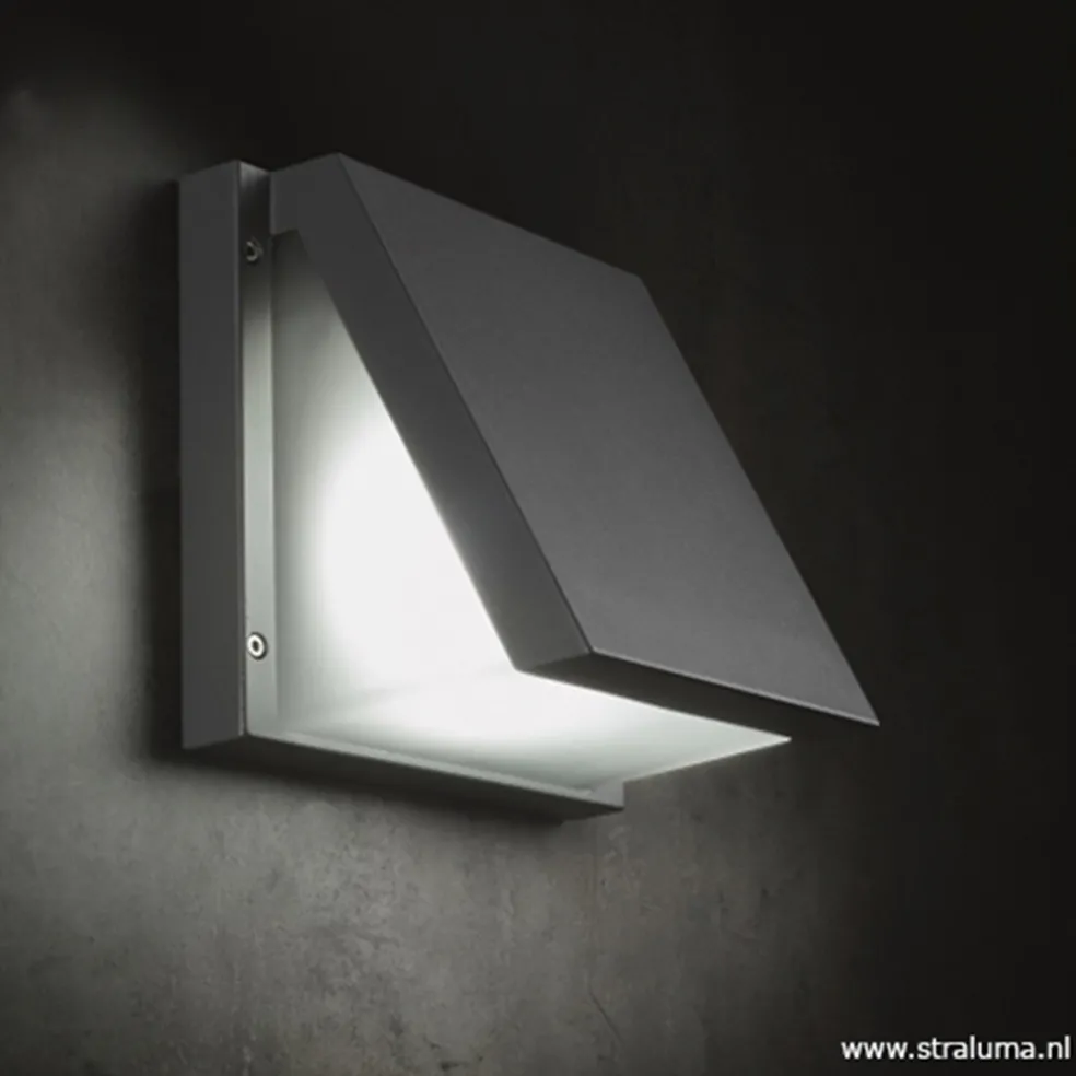 Buitenlamp wandlamp antraciet IP54