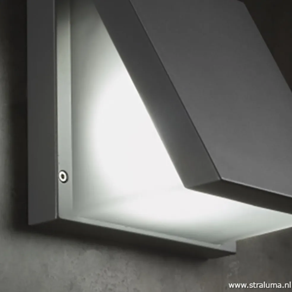 Buitenlamp wandlamp antraciet IP54