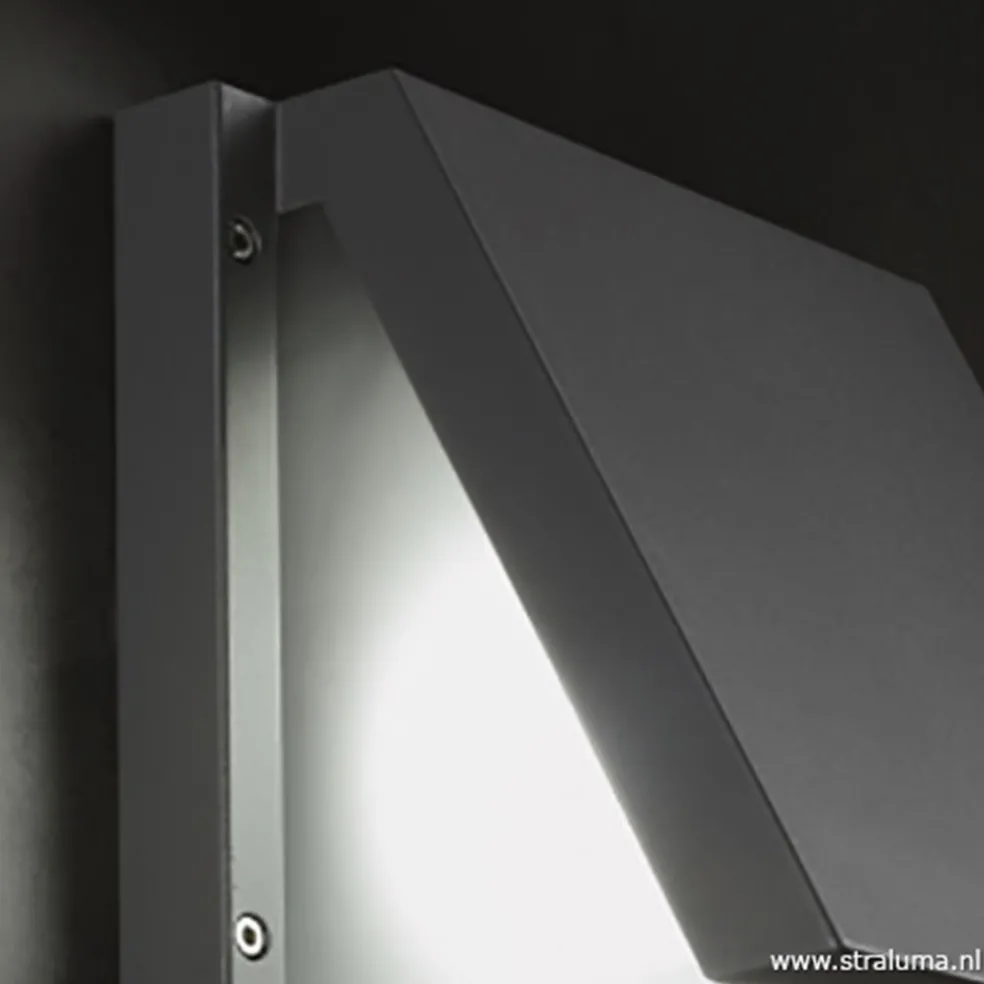 Buitenlamp wandlamp antraciet IP54