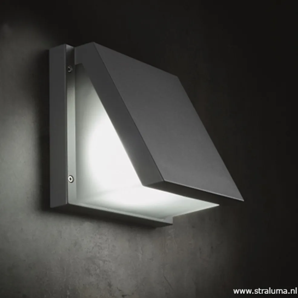 Buitenlamp wandlamp antraciet IP54