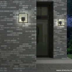Buitenlamp-wandlamp antraciet frame IP65