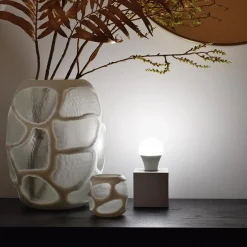 Calex Smart Home E27 A60 LED lichtbron 9.4W RGBW