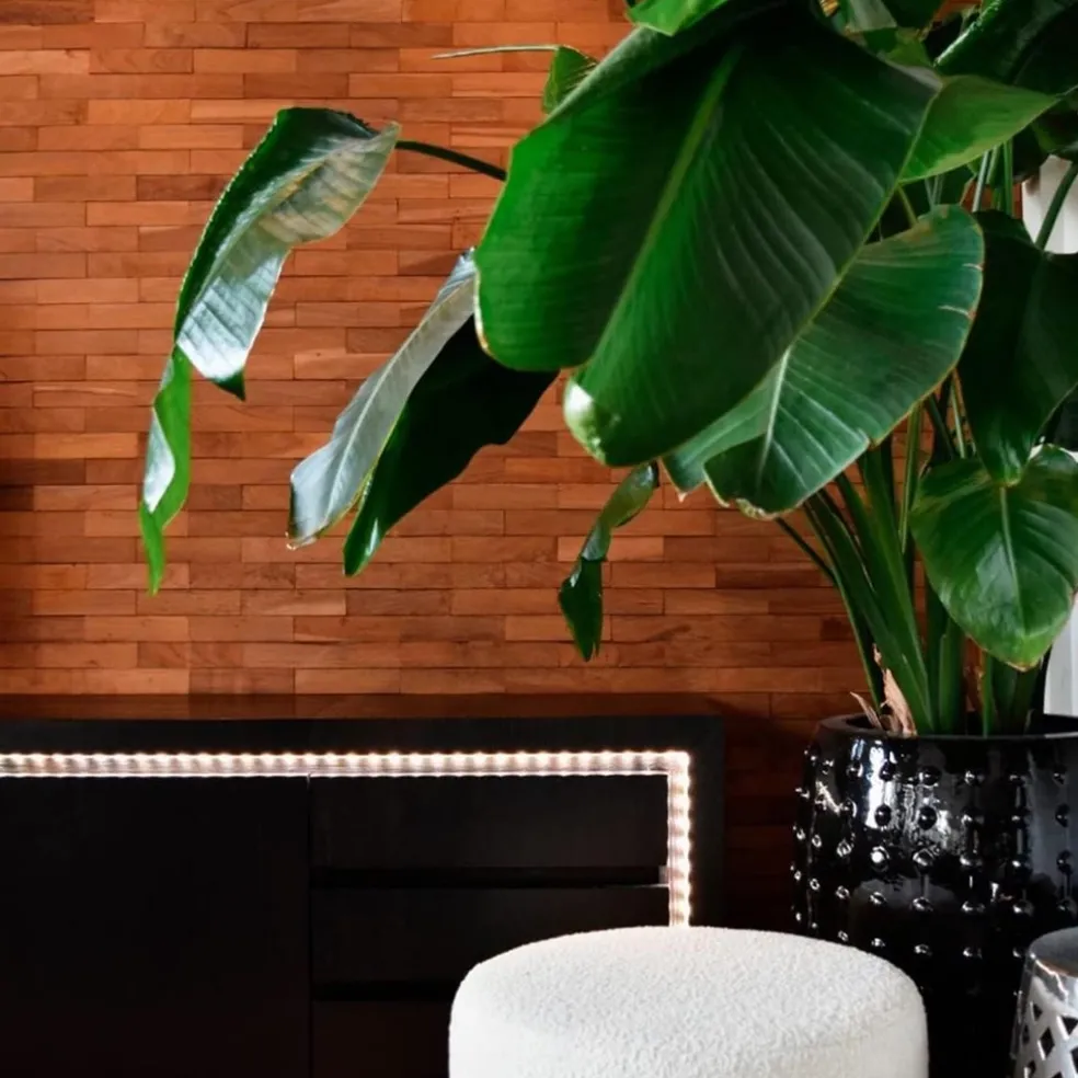 Calex Smart LED strip RGB + CCT 5 meter