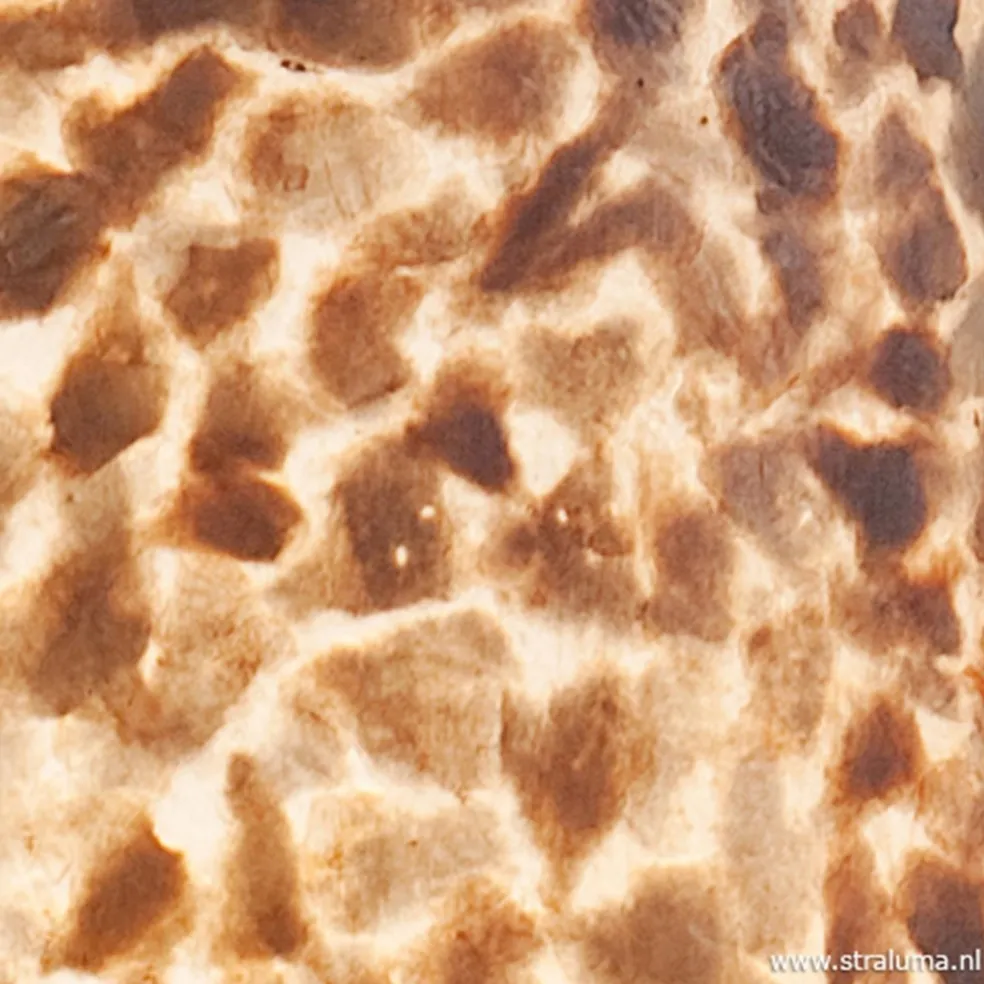 Capiz cilinderlamp schelpen 150cm