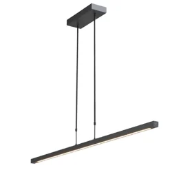 Dim to warm LED hanglamp-balk zwart