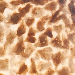 Driepoot schelpen vloerlamp zwart met bruin en goud