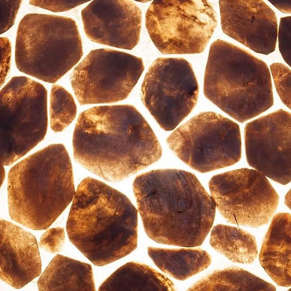 Grote vloerlamp turtle goud 200 cm