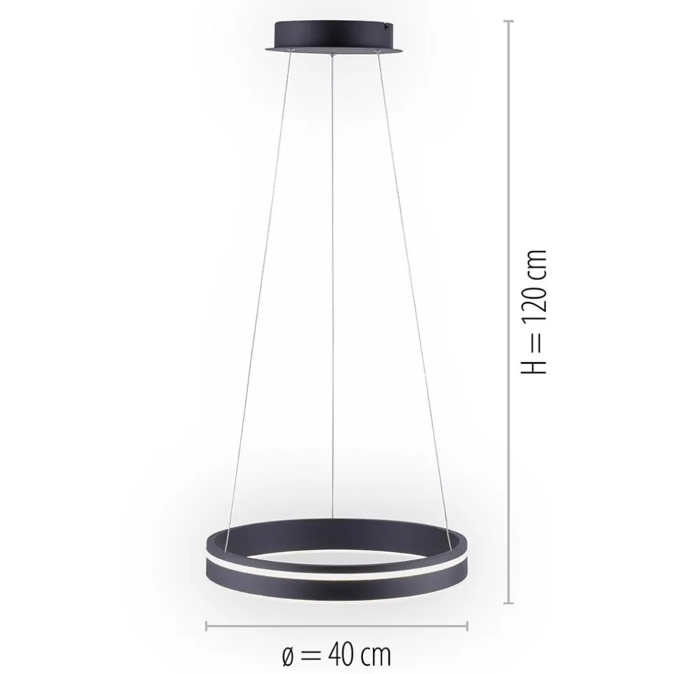 Hanglamp Q-Vito 40 zwart + afst.bed.CCT