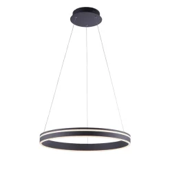 Hanglamp zwart ring 60cm + afst.bed.CCT