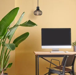 Kleine hanglamp onion mat zwart