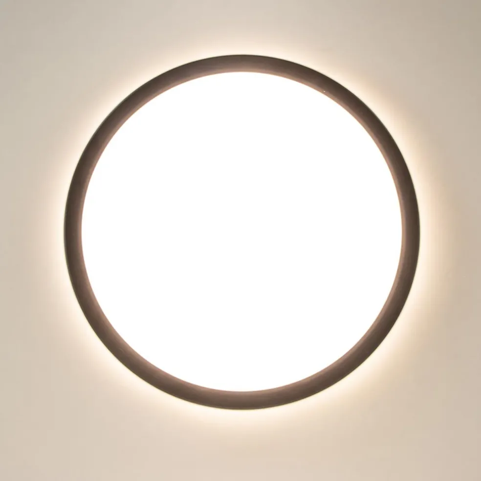 LED plafondlamp met 3 licht opties zwart rond