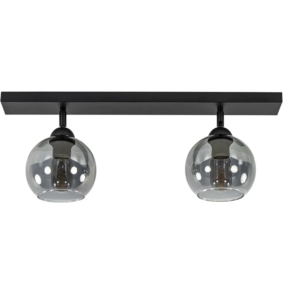 2-Lichts plafondlamp smoke glas met zwart