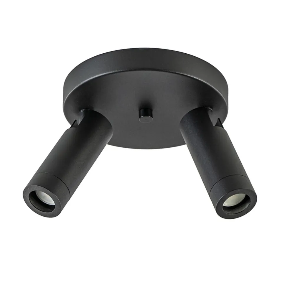 2-Lichts plafondspot mat zwart met gouden accent