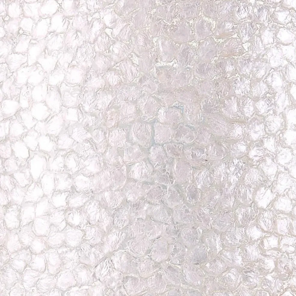 2-Lichts schelpen wandlamp met snoer