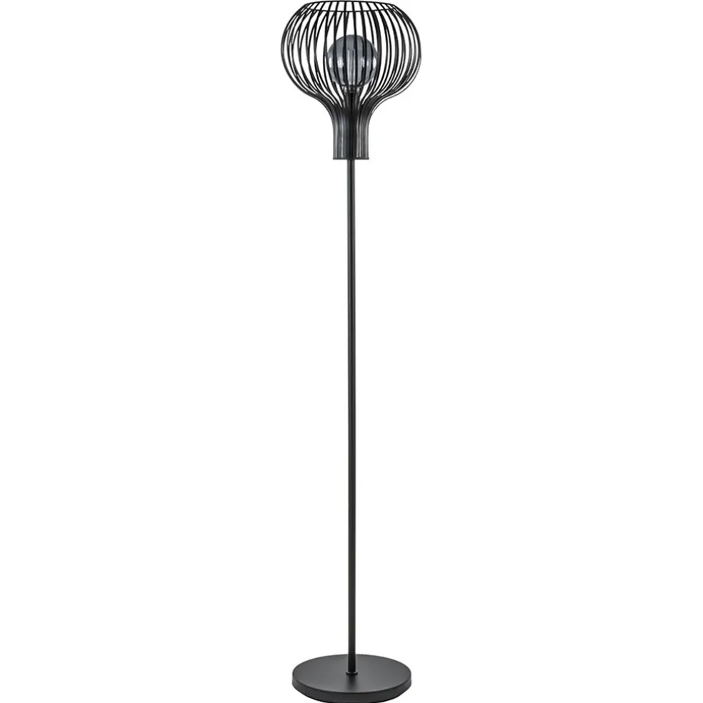 Modern landelijke vloerlamp mat zwart met draadkap