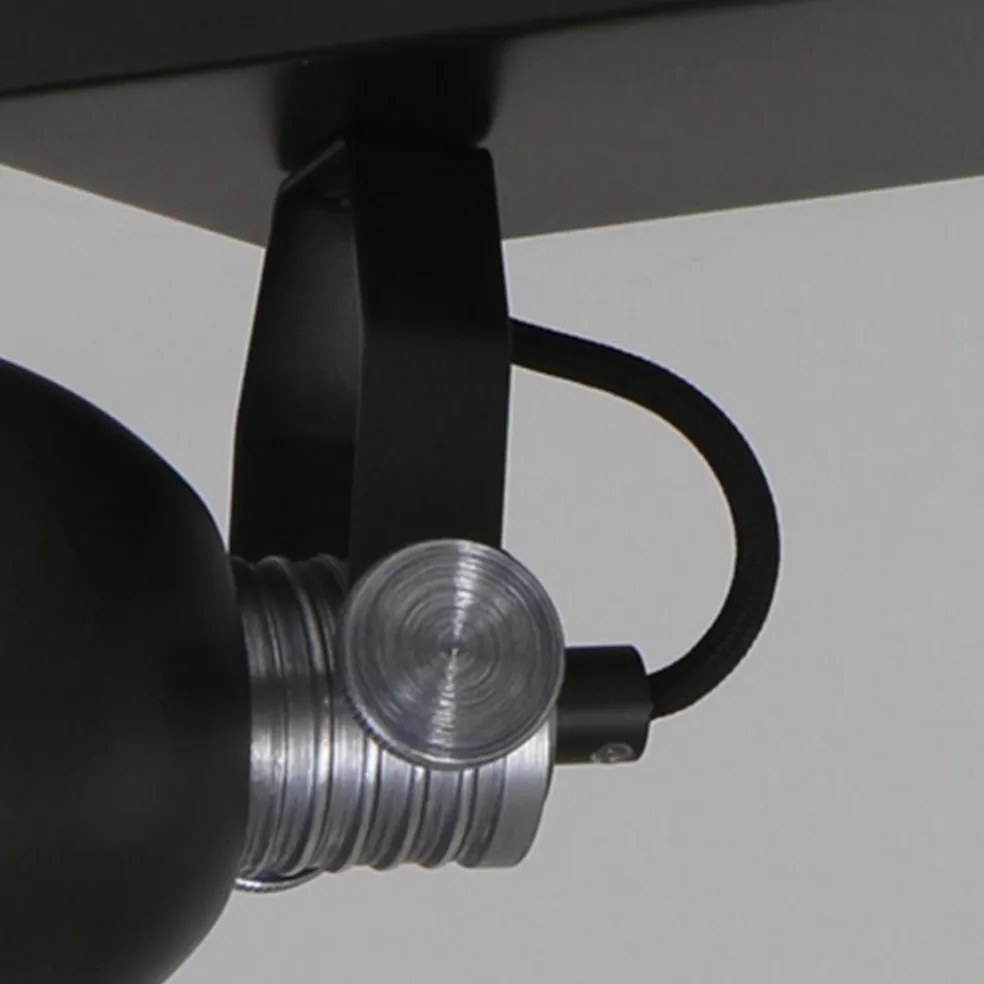 Plafondspot Brooklyn 2l zwart industrieel