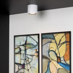 Plafondspot cilinder wit dim to warm