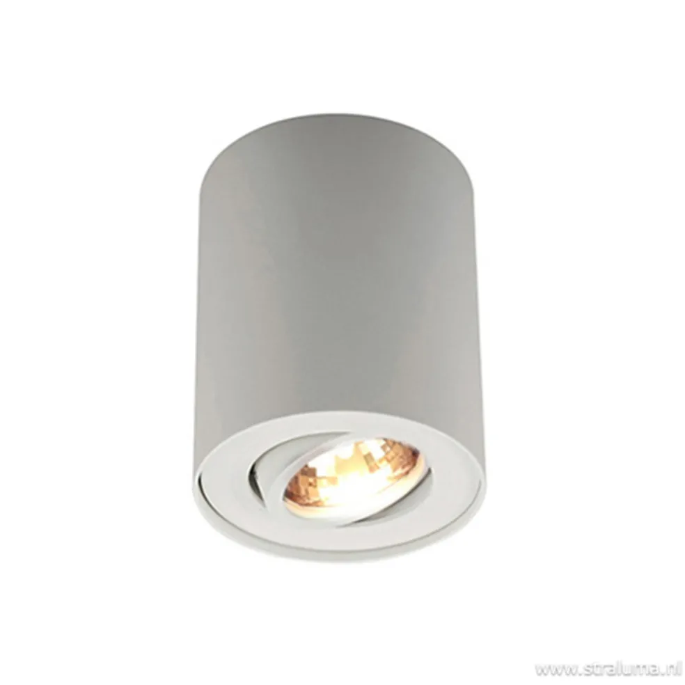 *Plafondspot cilinder wit verstelbaar