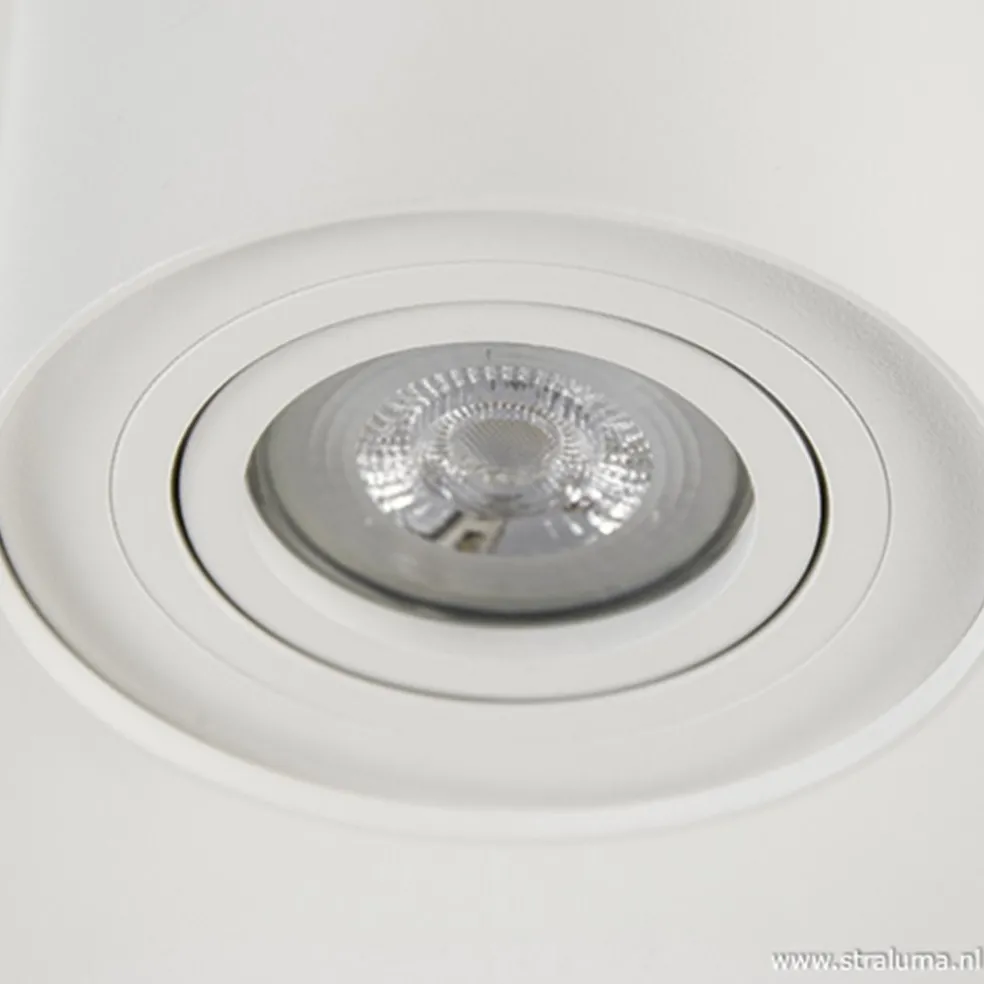 *Plafondspot cilinder wit verstelbaar