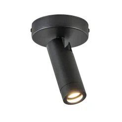 Plafondspot 1-lichts mat zwart/goud