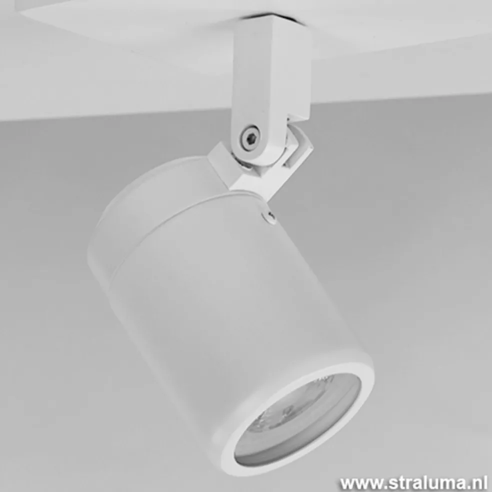 Plafondspot Rain 3L balk wit gu10 IP44