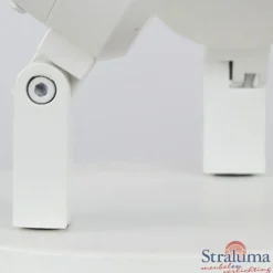 Plafondspot Rain 2L rond wit gu10 IP44