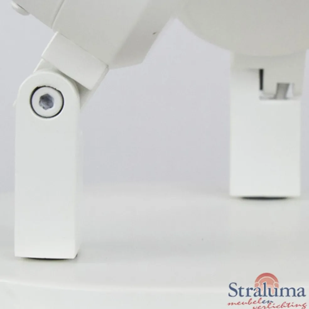 Plafondspot Rain 2L rond wit gu10 IP44