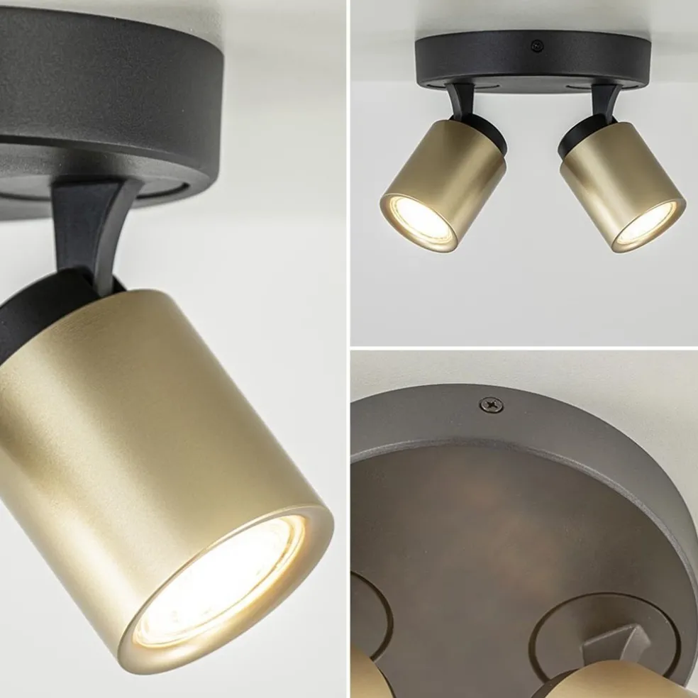 Plafondspot Razza 2L rond zwart/goud