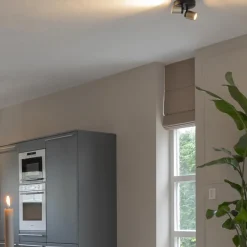 Plafondspot Razza 2L rond zwart/goud