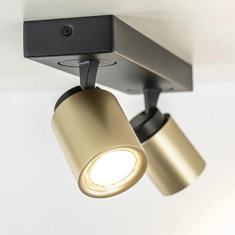 Plafondspot Razza 2L zwart/goud