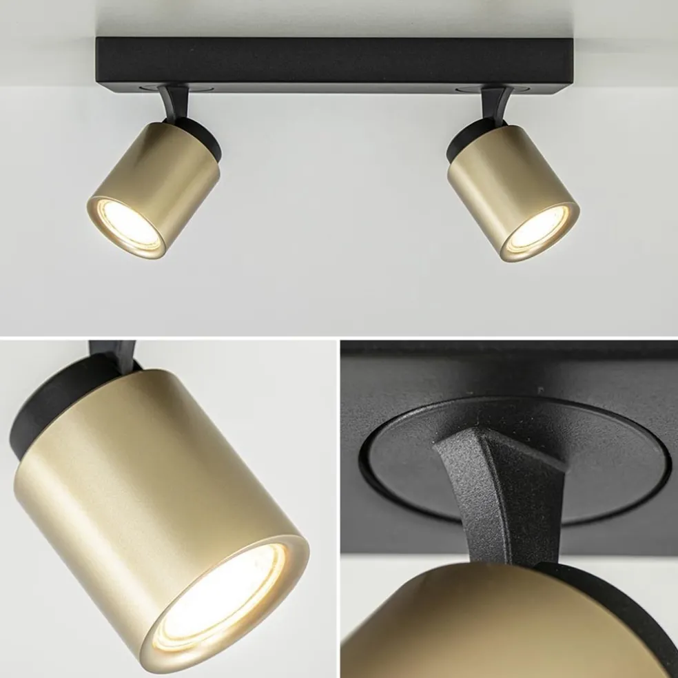 Plafondspot Razza 2L zwart/goud