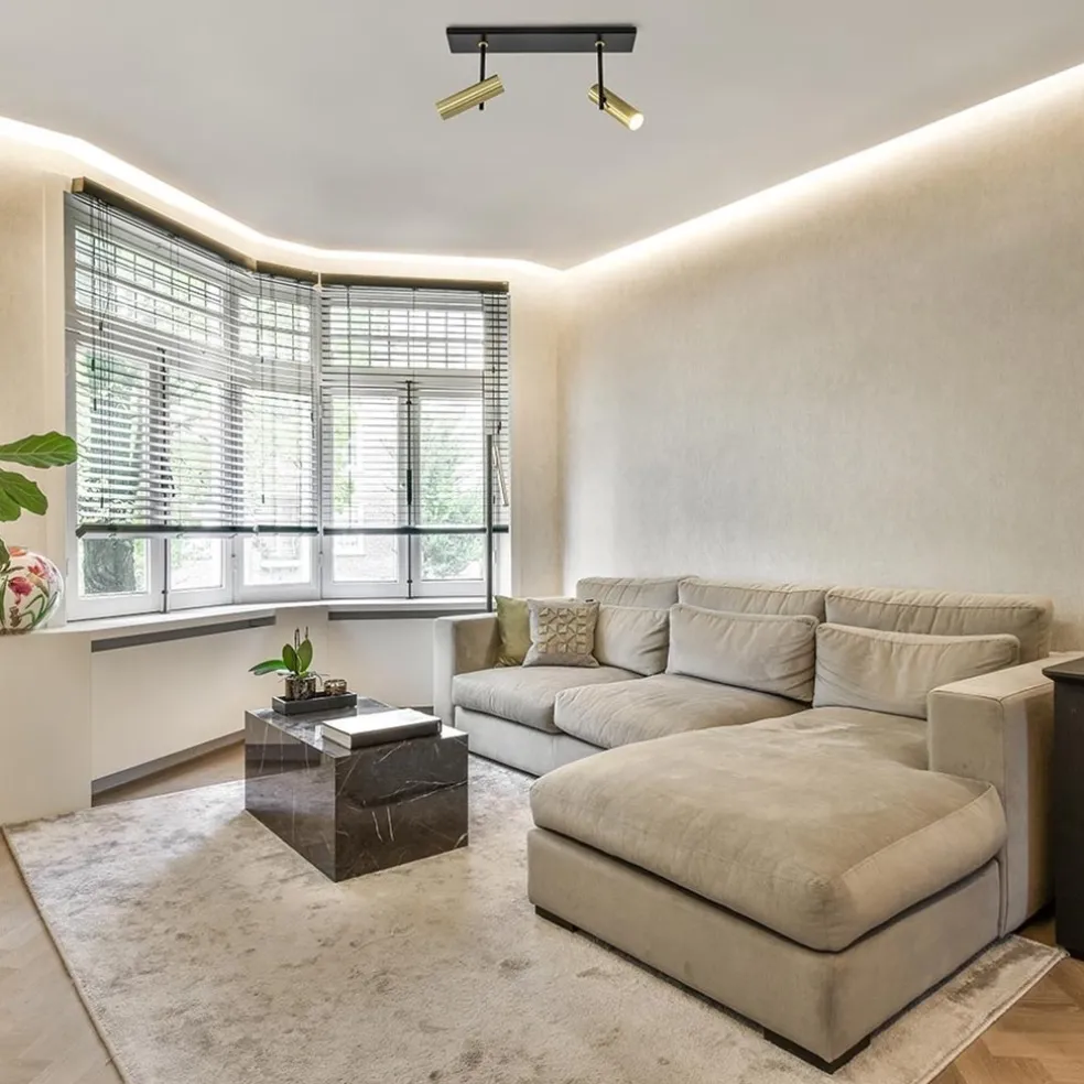 Plafondspot Trend 2L zwart/goud mini gu10