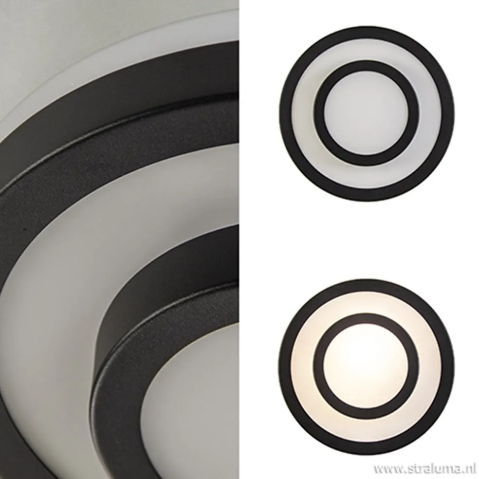 Plafonnière Master zwart+opaal glas IP44