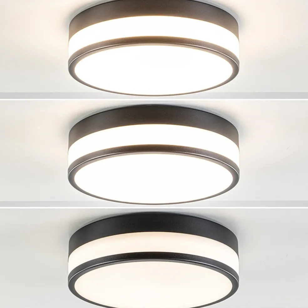 Plafonnière zwart/opaal glas 3-step dim IP44