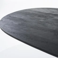 Robuuste mango houten eettafel Aron ovaal zwart