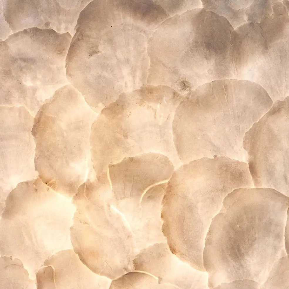 Romantische hanglamp bol creme schelp