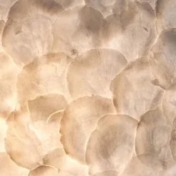 Romantische schelpen wandlamp ivoor
