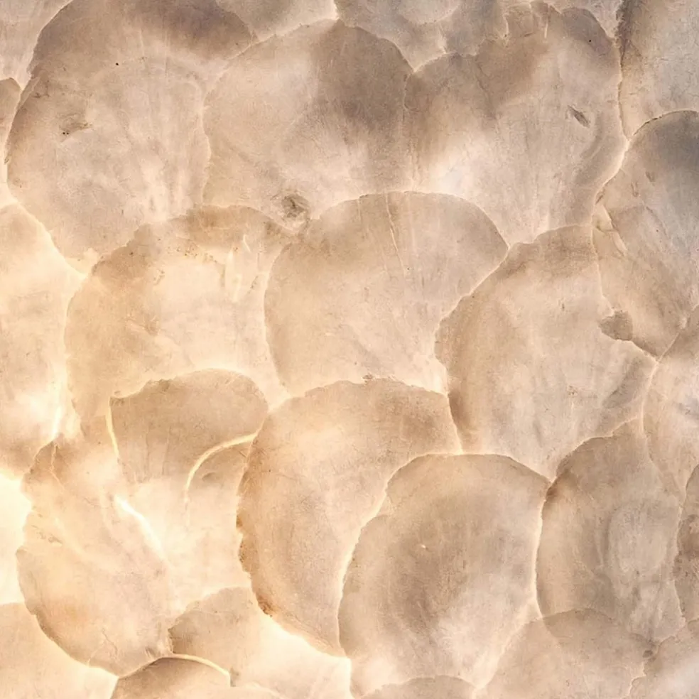 Romantische schelpen wandlamp ivoor