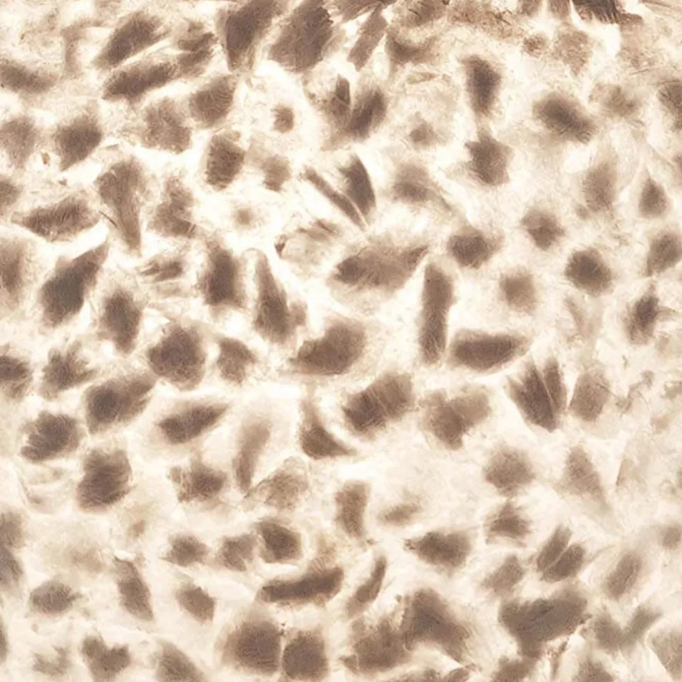 Schelpen hanglamp bol 40 cm wit/parelmoer