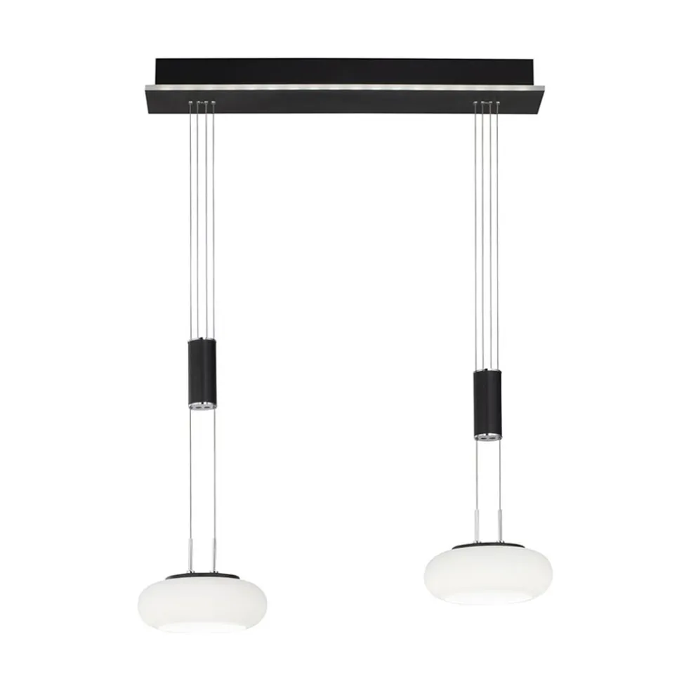 Smart hanglamp 2-lichts mat zwart met opaal glas dimbaar