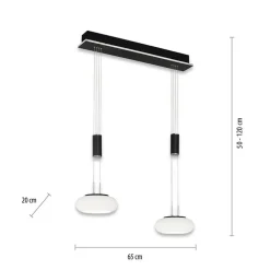 Smart hanglamp 2-lichts mat zwart met opaal glas dimbaar