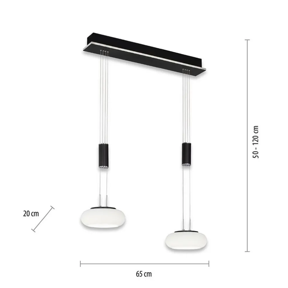 Smart hanglamp 2-lichts mat zwart met opaal glas dimbaar