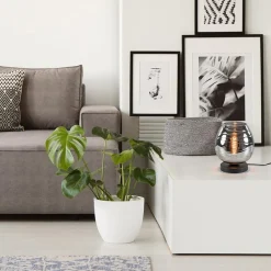 Tafellamp Fantasy laag zwart + smoke glas