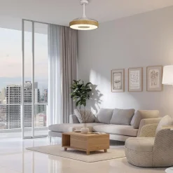 Ventilator Coin hout remote cct