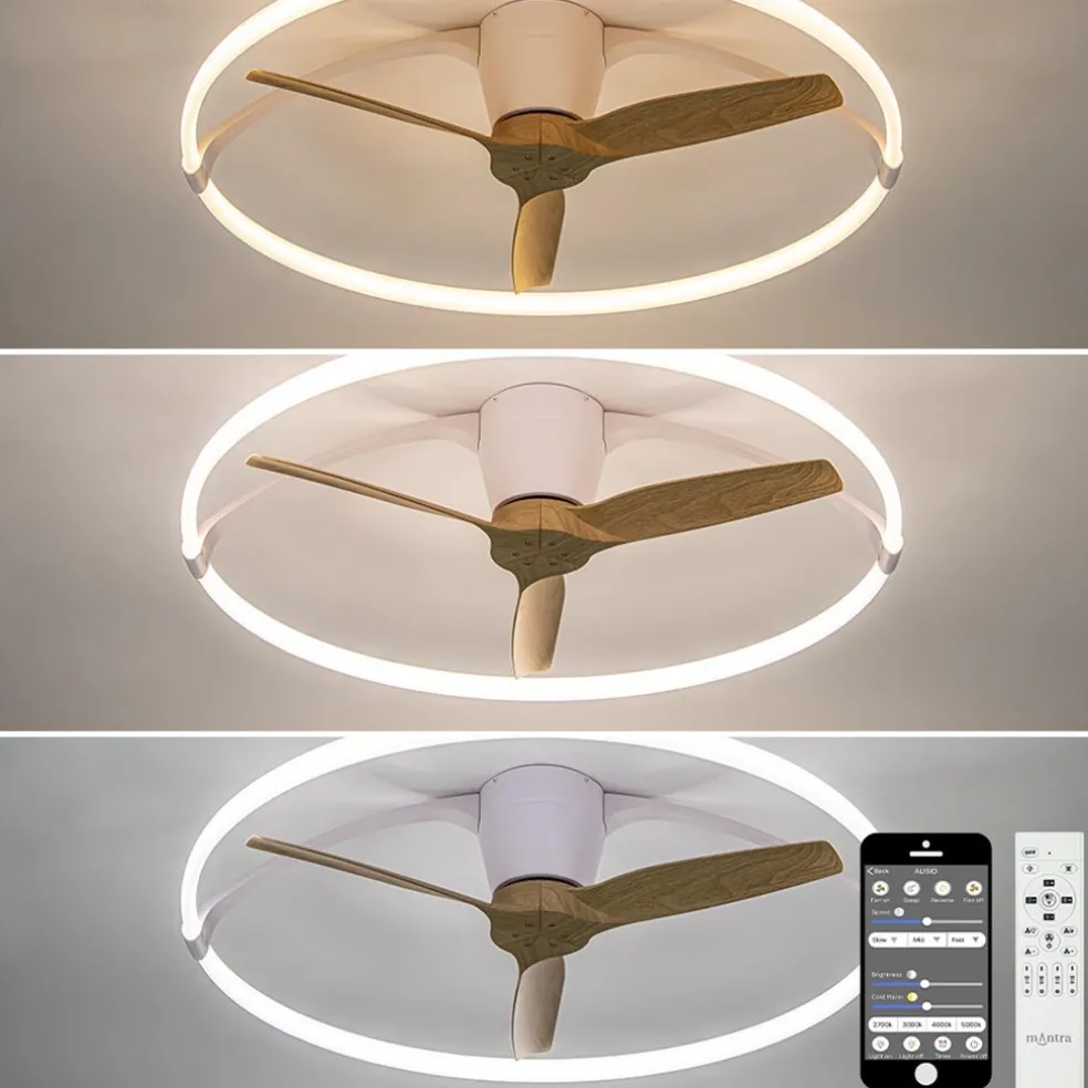 Ventilator Nepal mini wit/hout remote cct