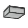Vierkante buitenlamp dark grey plafond/wand