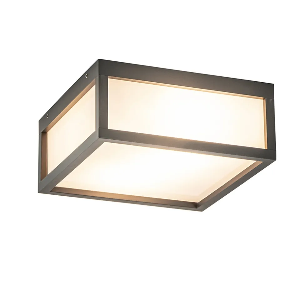Vierkante buitenlamp dark grey plafond/wand